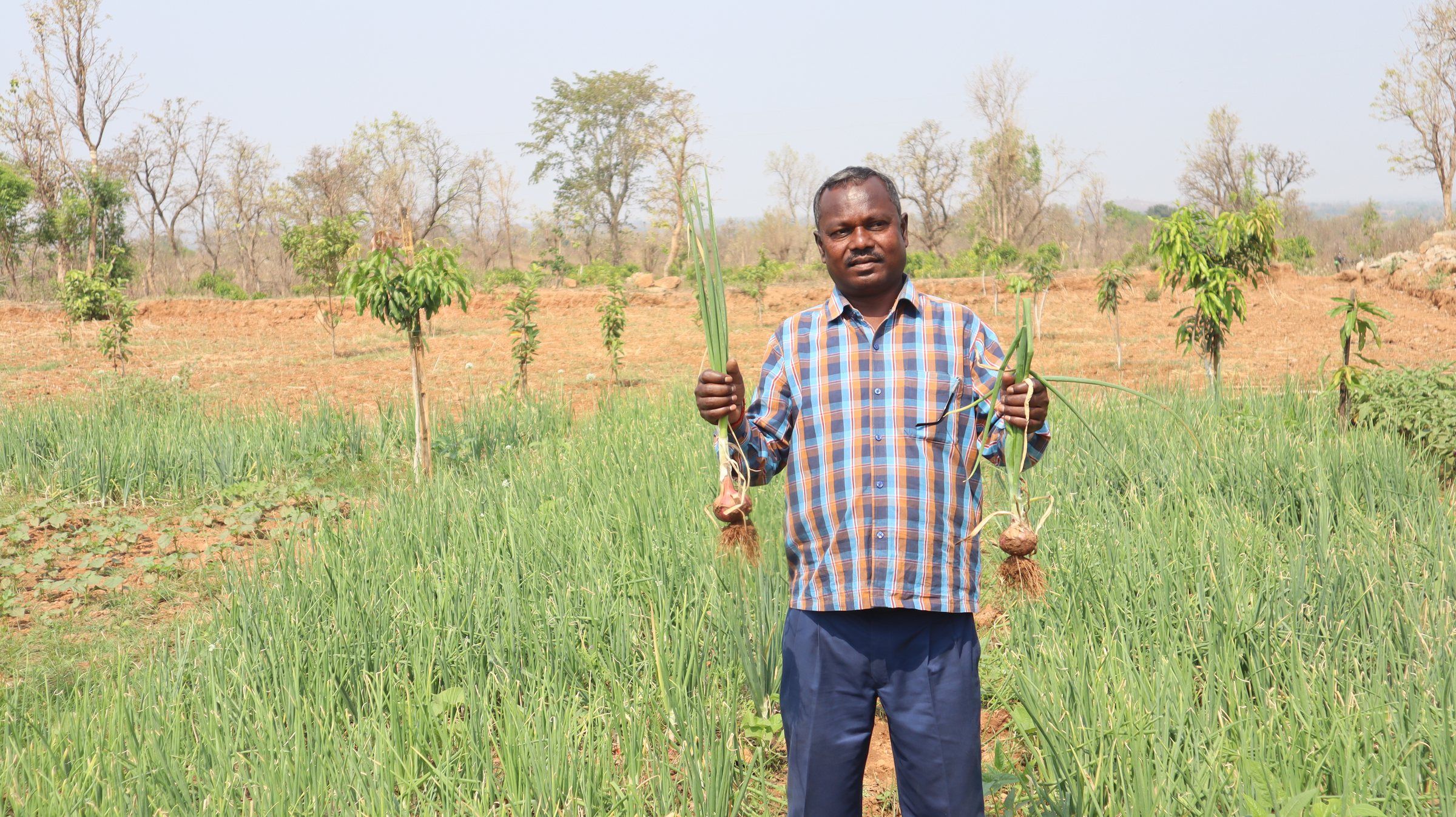 A farmer holding up his harvest in a green field