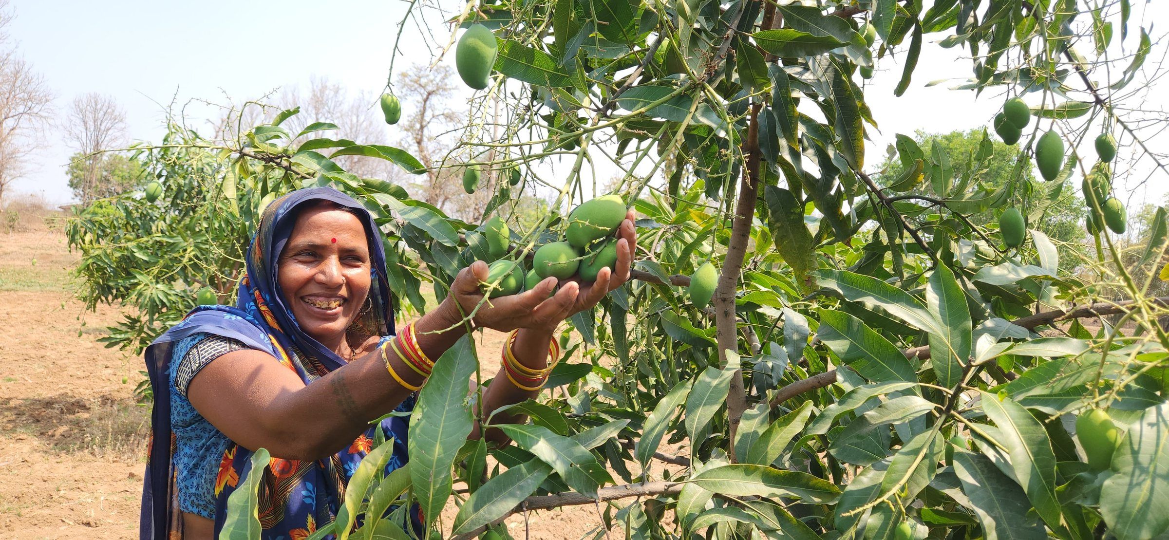 A woman farmer smiling among mango leaves in her orchard